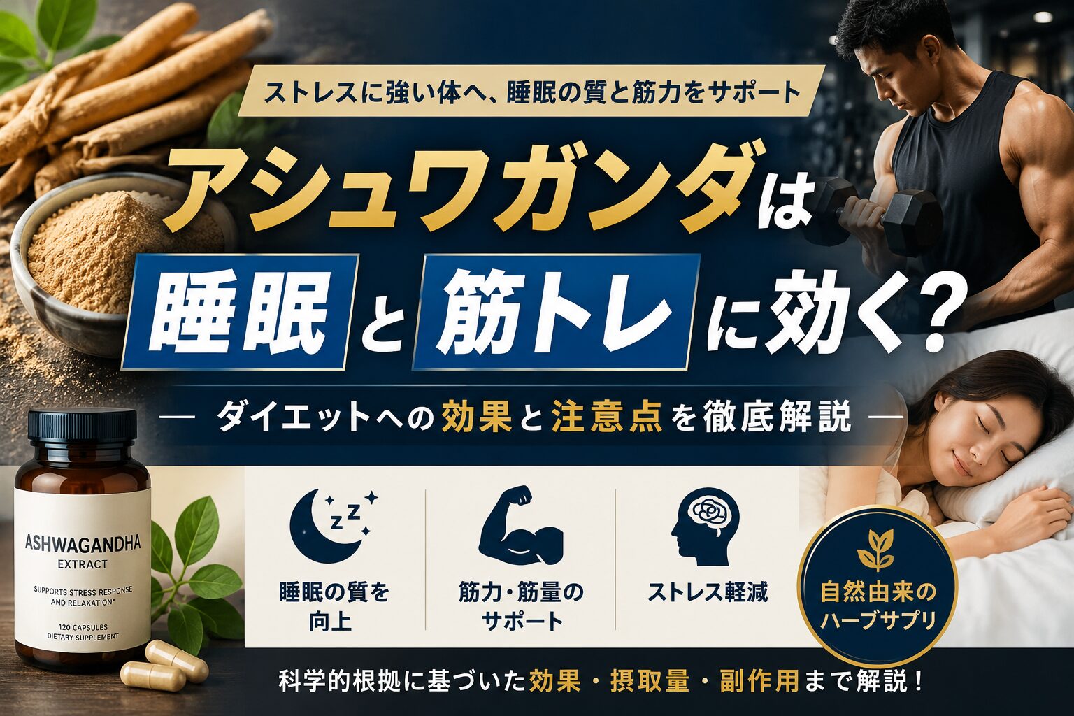 アシュワガンダは睡眠と筋トレに効く